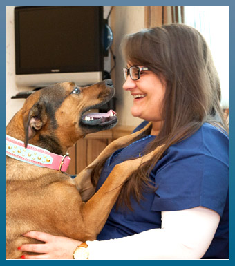 south amboy veterinary